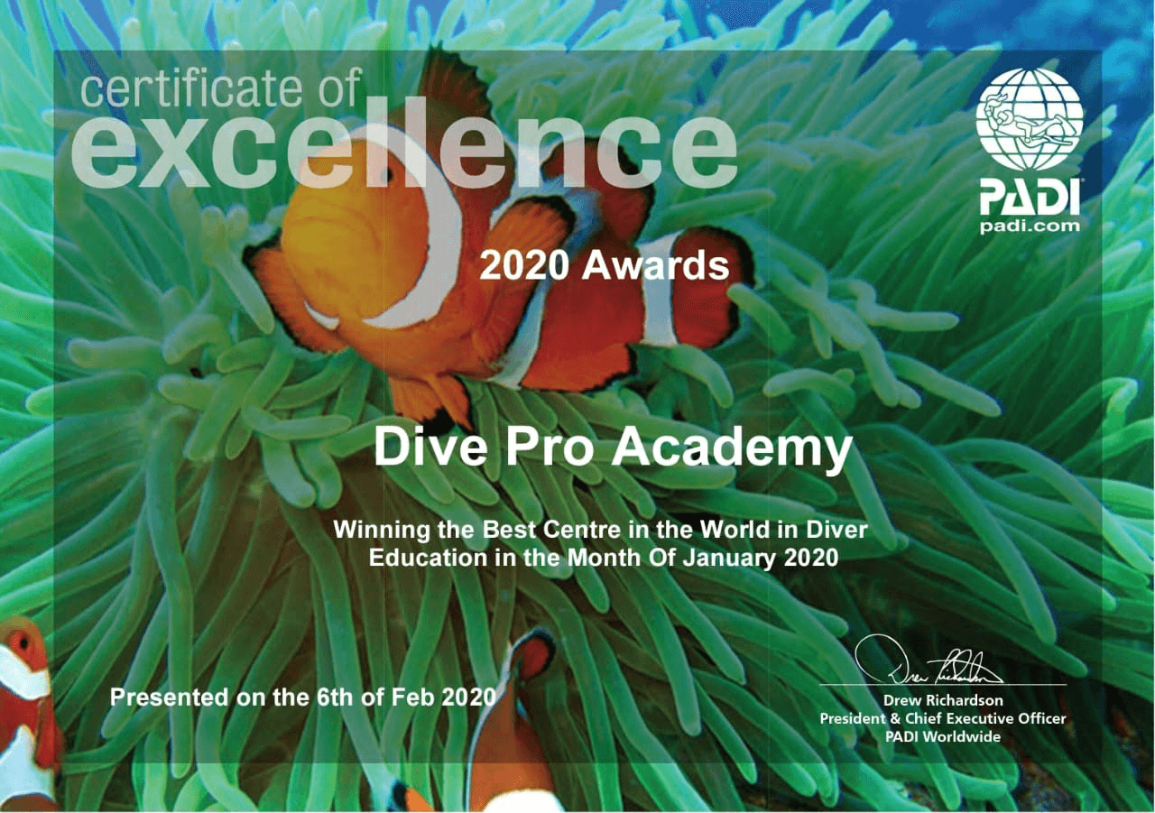 diving certificate 
