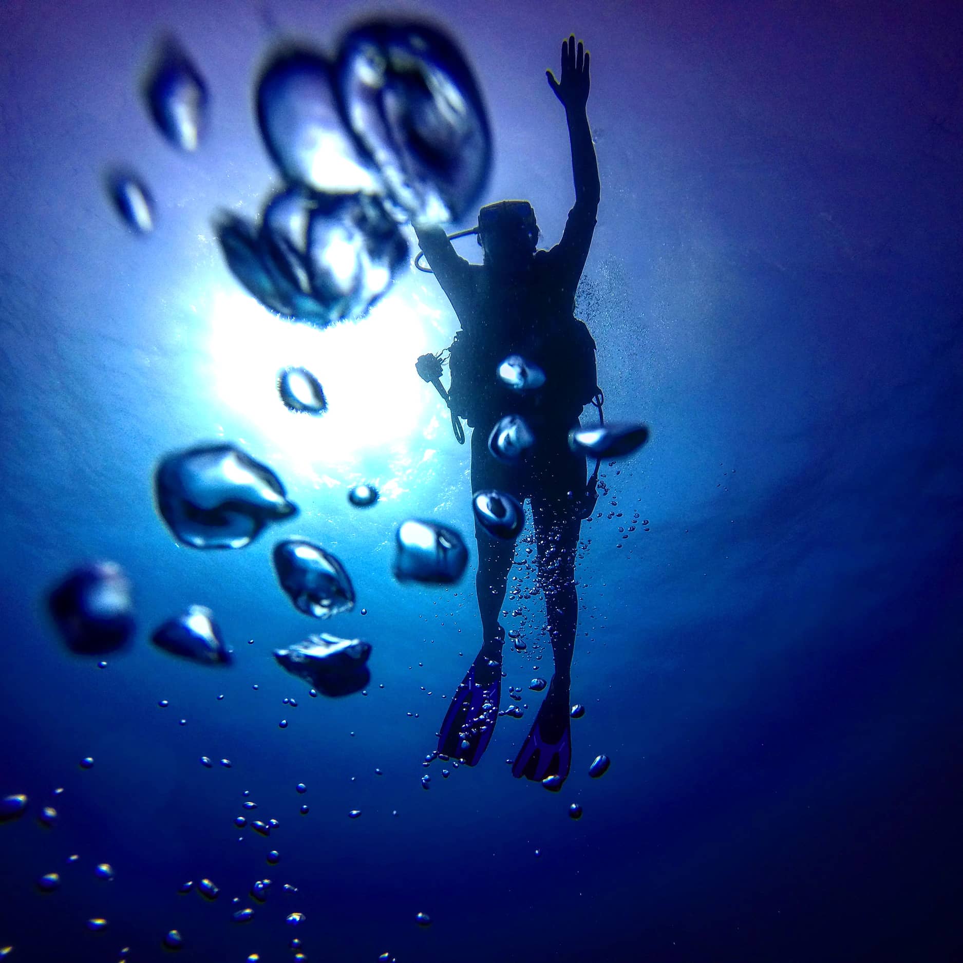 destination-driver destination-driver-dive pro