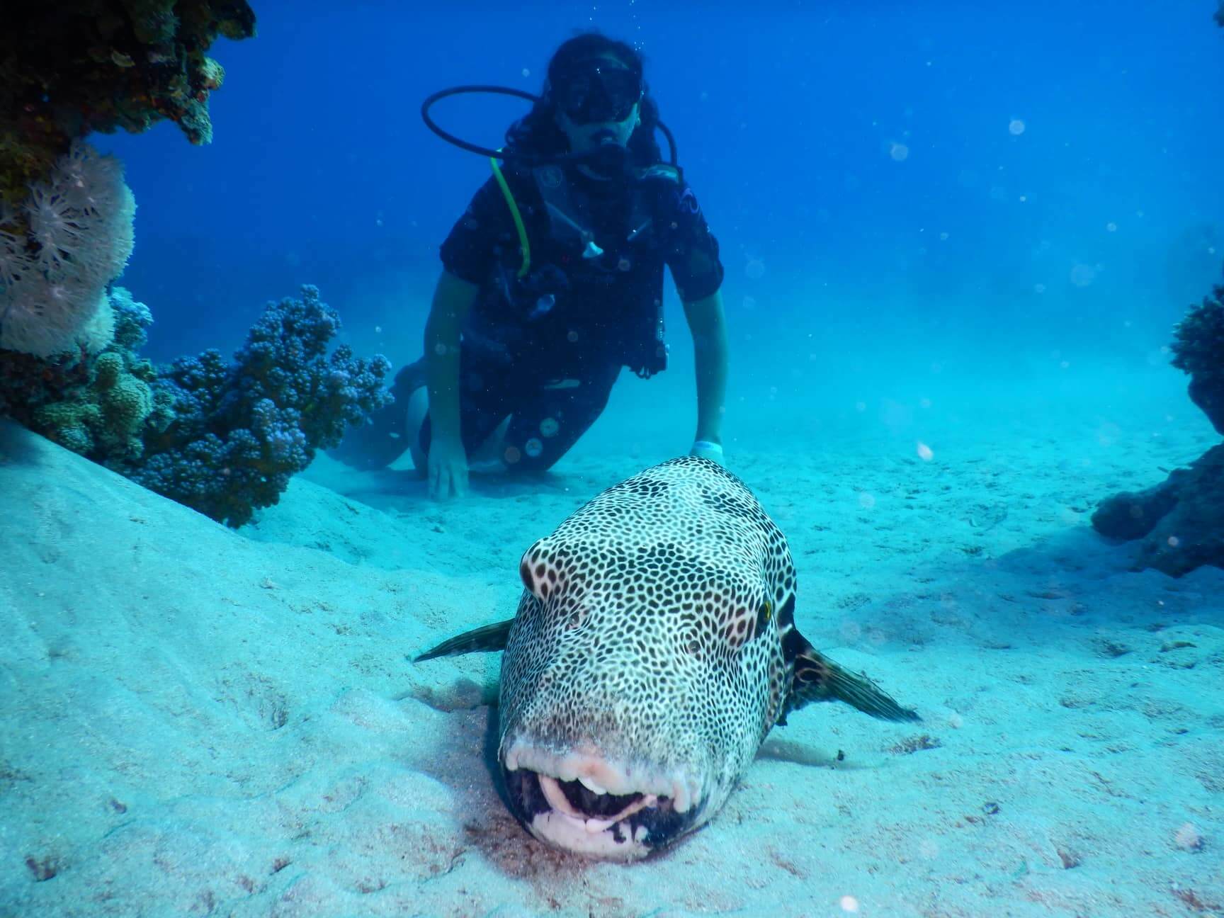 House-Reef-img2