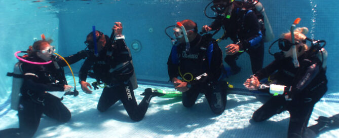 dive pro- open-water-course-2