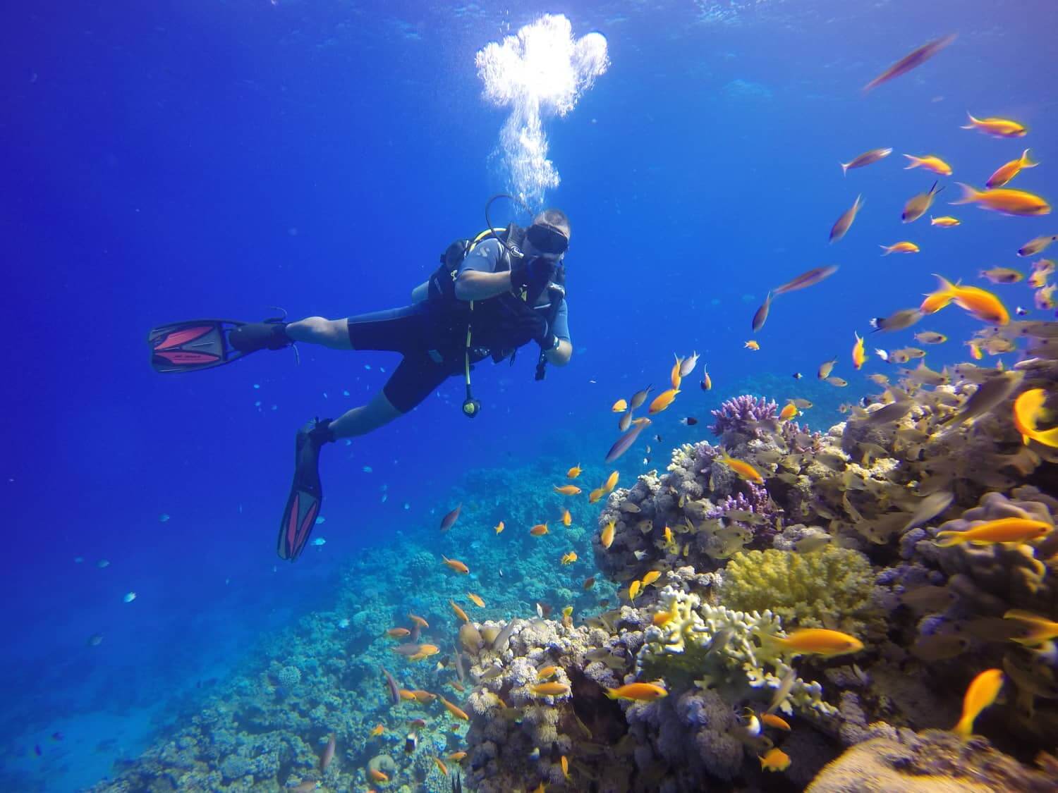 freediver-cours-img-1