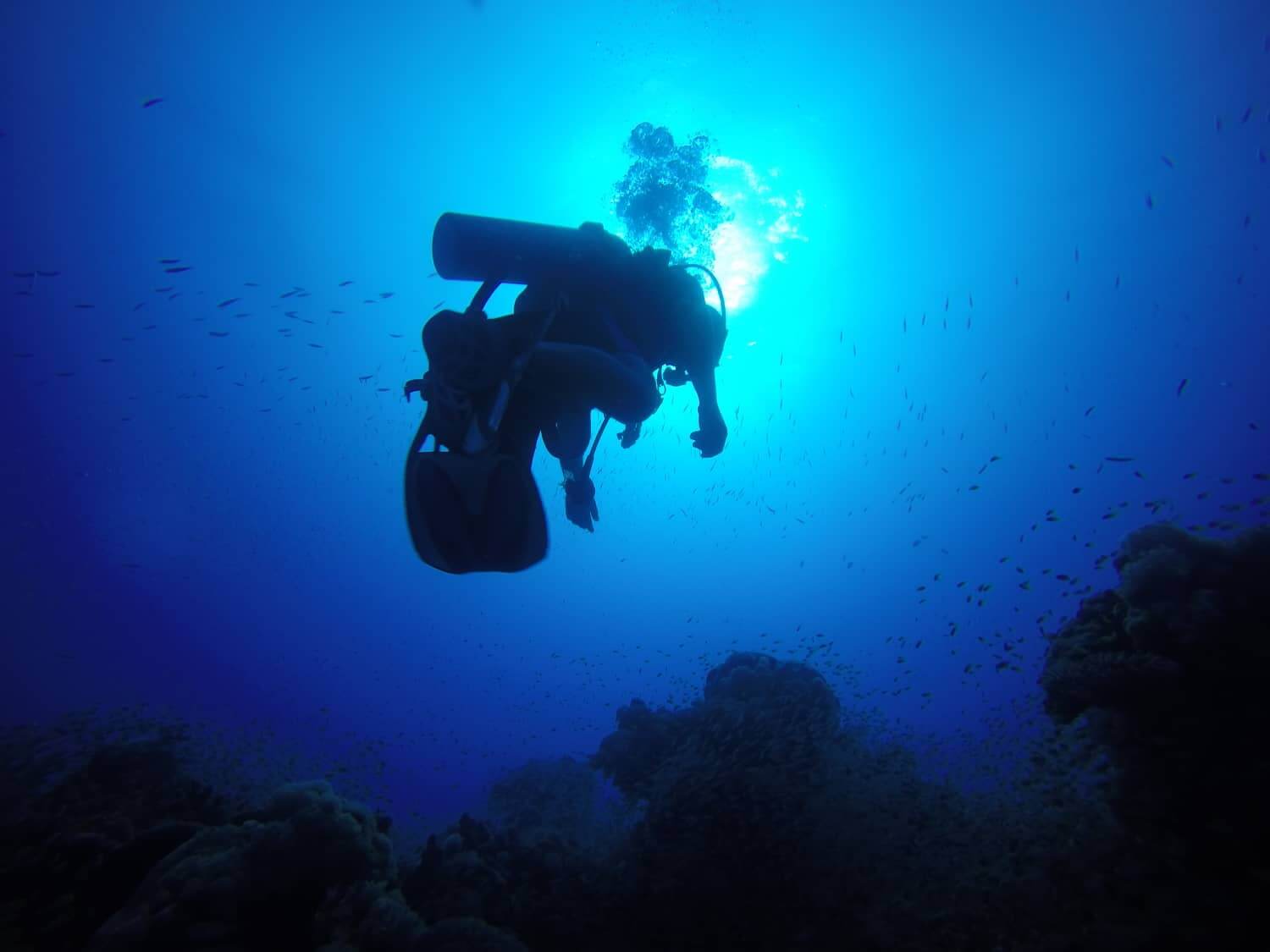 freediver-cours-img-2