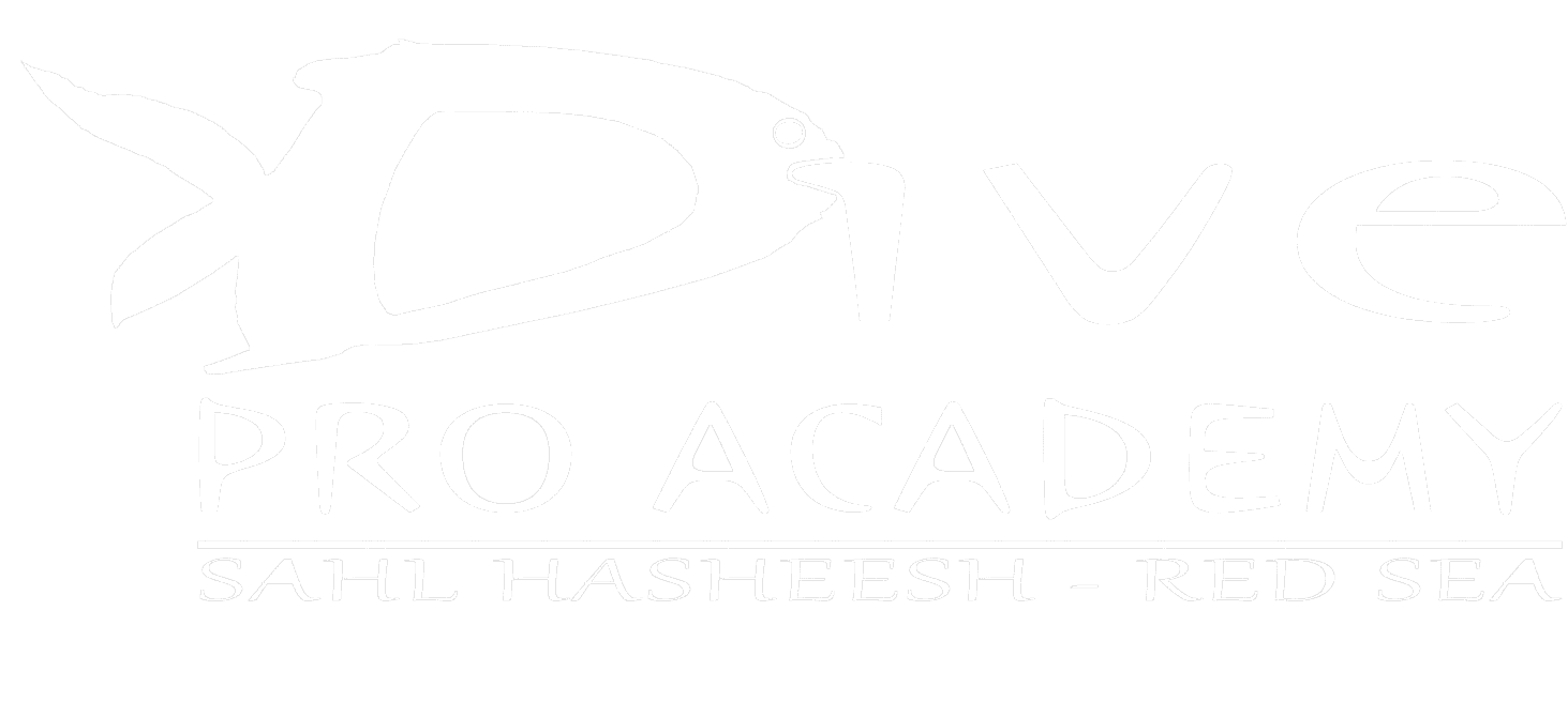 Dive Pro Logo