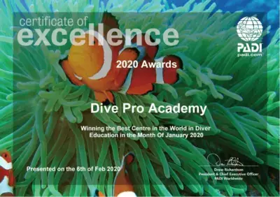 diving certificate 