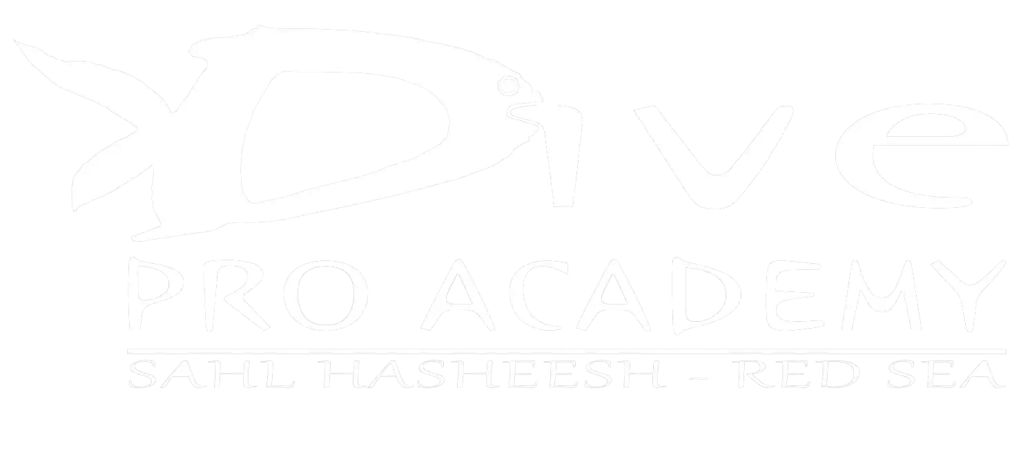 Dive Pro Logo